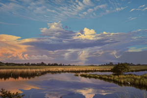 Everglades Reflections